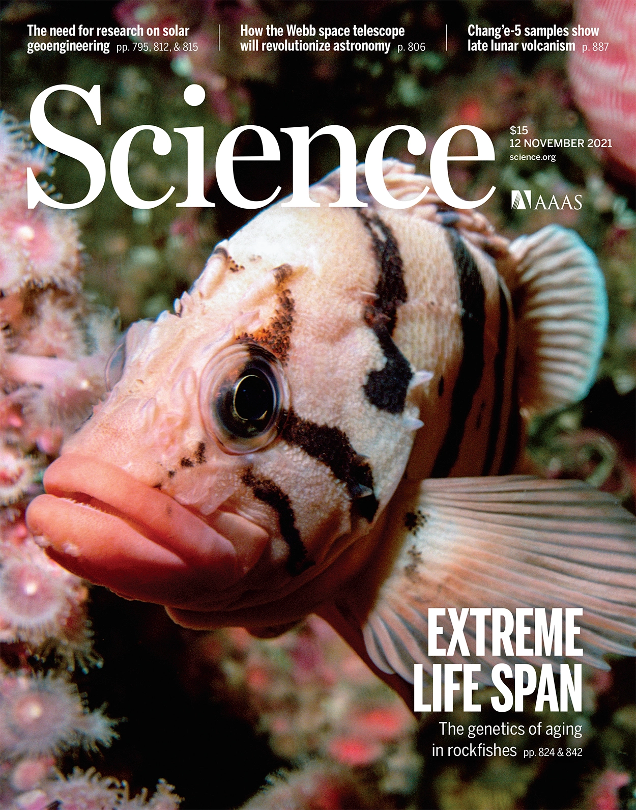 cover science